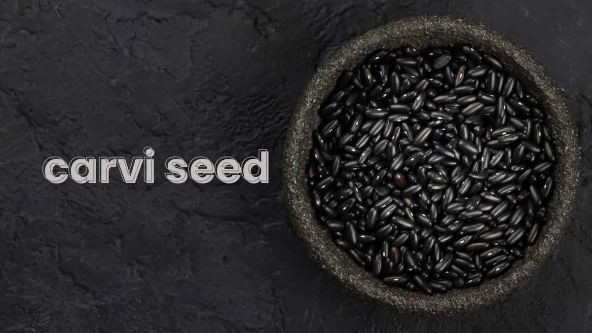 carvi seed